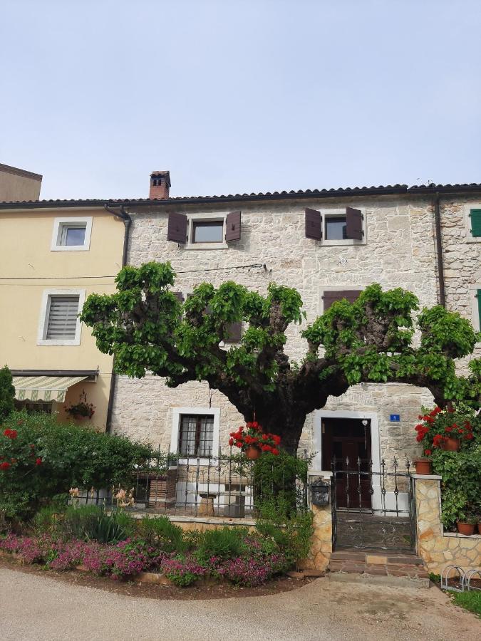 Вилла Casa Girasole Буйе Экстерьер фото